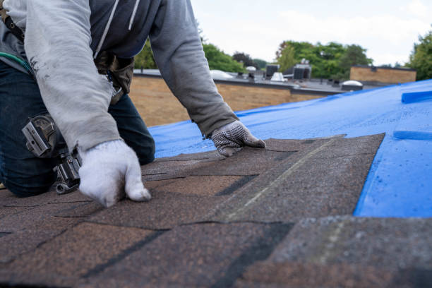 Best Storm Damage Roof Repair  in Apopka, FL