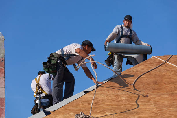 Roof Gutter Cleaning in Apopka, FL