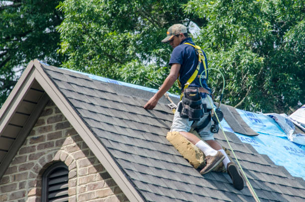 Best Storm Damage Roof Repair  in Apopka, FL